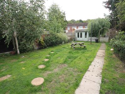 Picture 21